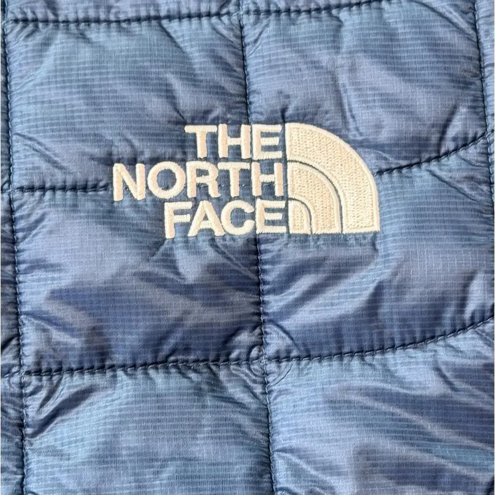 The North Face brand north